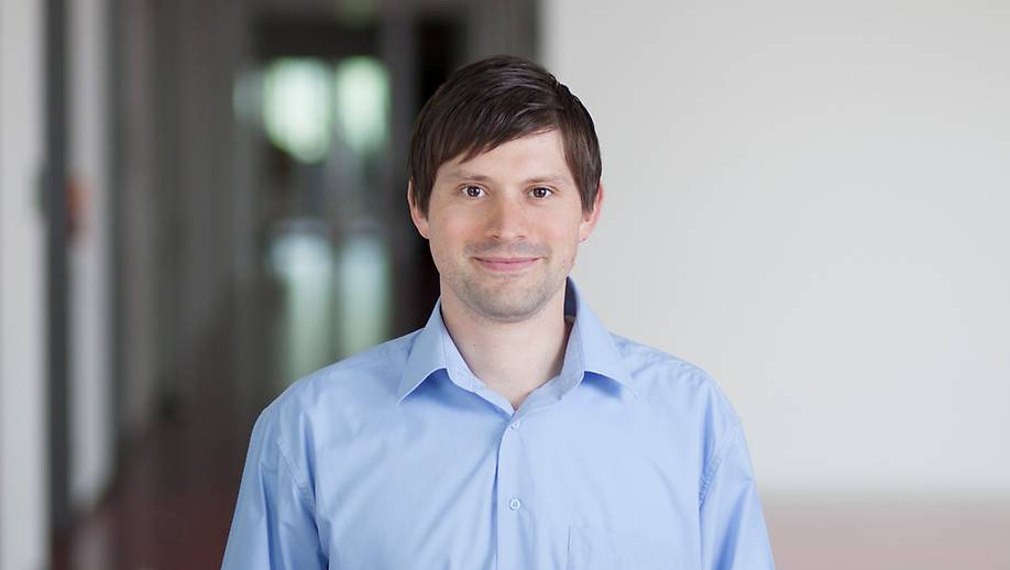 SAP-Systementwickler